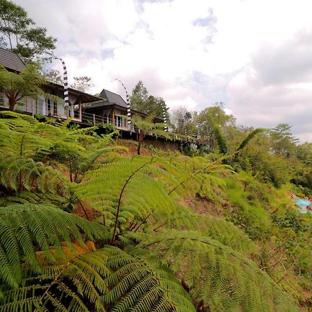 The Bejalin Eco Retreat Hotel Plaga ภายนอก รูปภาพ